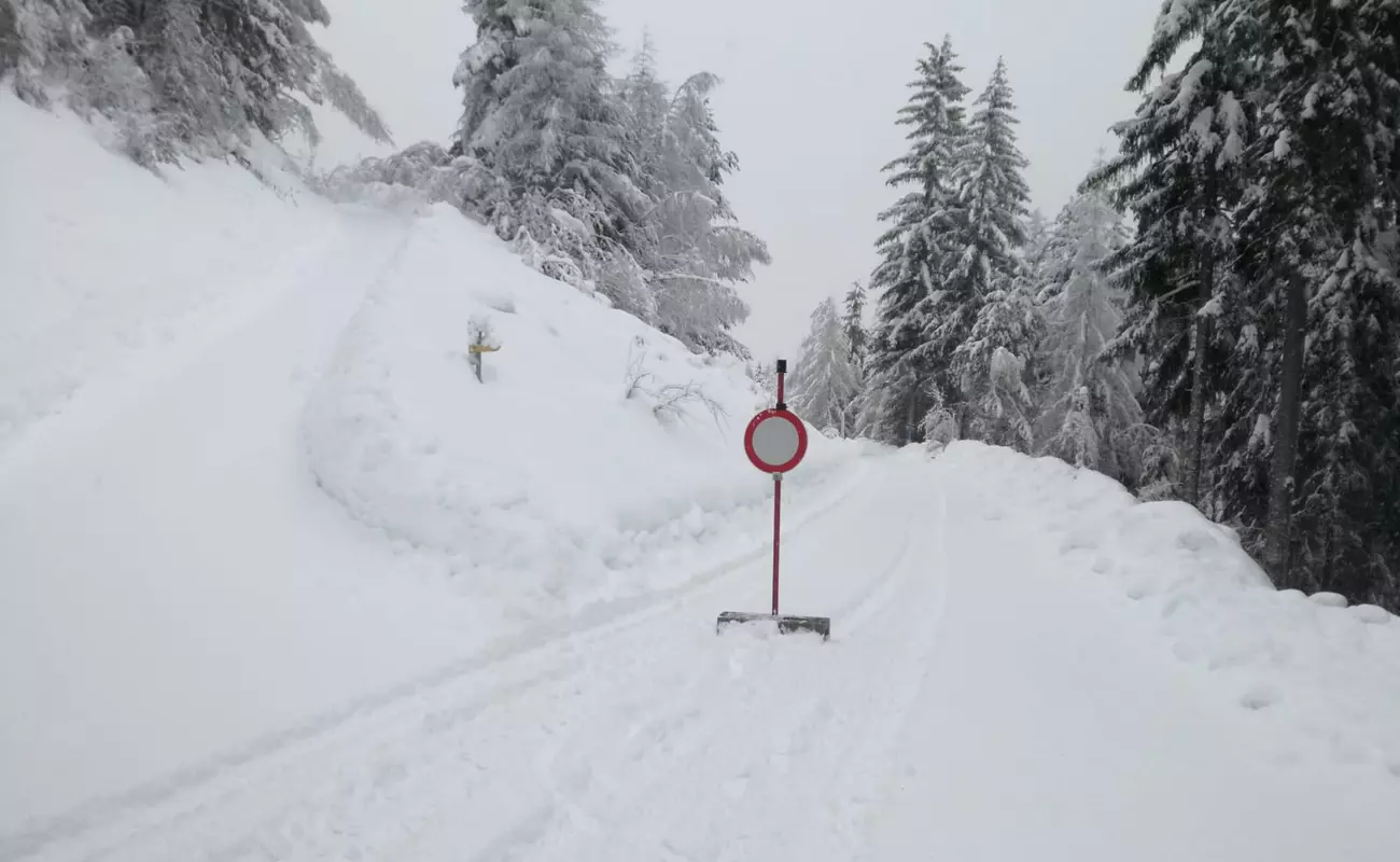 Technische Hilfeleistung Baum/Ast