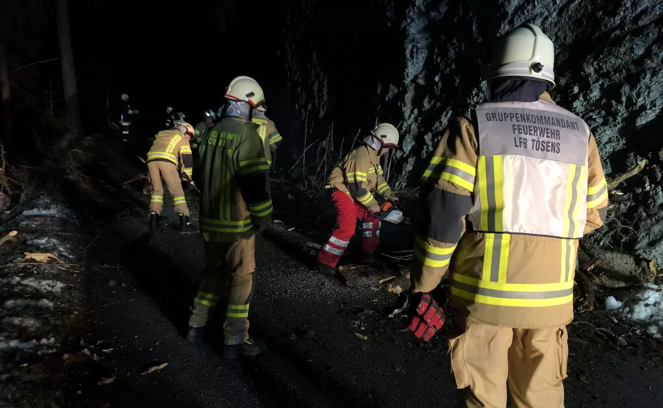 THL Baum/Ast - Baum auf Straße gestürzt