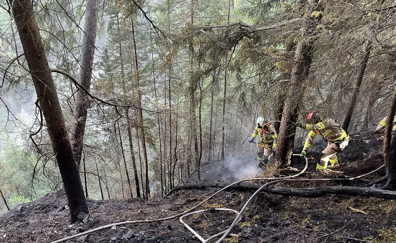 Waldbrand Fendels - 11.06.2023